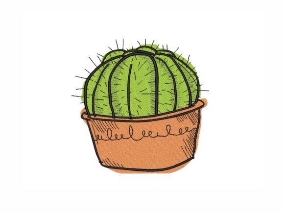 Cactus in a Pot: A Designer’s Holiday Review