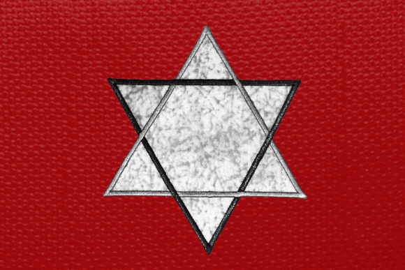 Review: Intertwined Star of David Applique